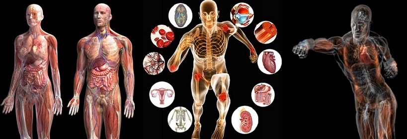 مهندسی پزشکی و بازار کار آن